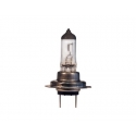 Auto sijalice AUTOLAMP 12V H7 55W PX26d